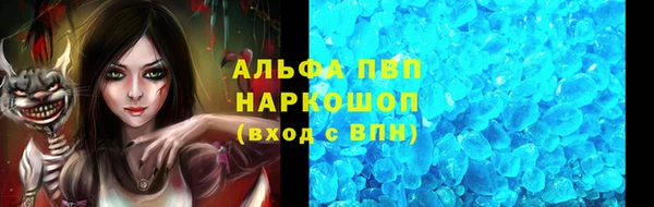 гашик Арсеньев