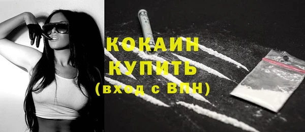 гашик Арсеньев