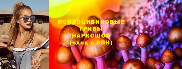 гашик Арсеньев
