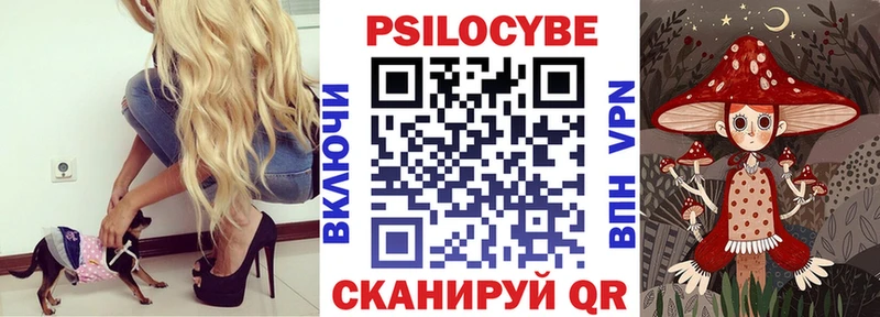 Галлюциногенные грибы мицелий  хочу   Бор 