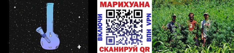 блэк спрут   купить   Бор  Каннабис планчик 
